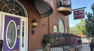 Brick guesthouse entrance with a purple door, arched window, a dog statue by the steps, and purple planters.