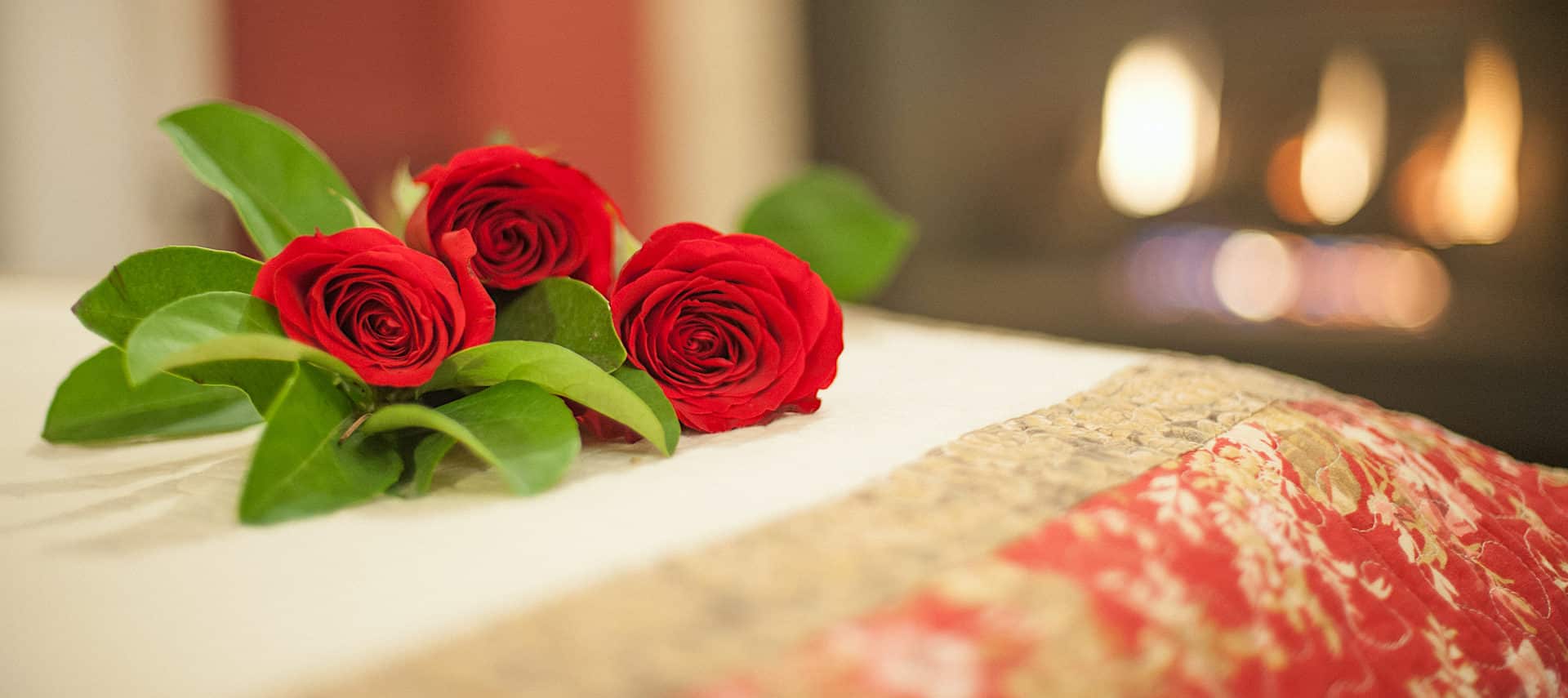 Close up view of red roses on a bed